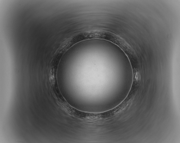 X0000115550771200911061532