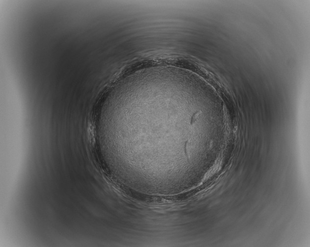 X0000115550772200911061532