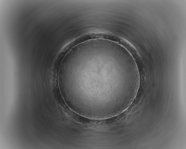 X0000115550775200911061532