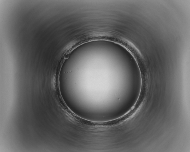 X0000115550777200911061532
