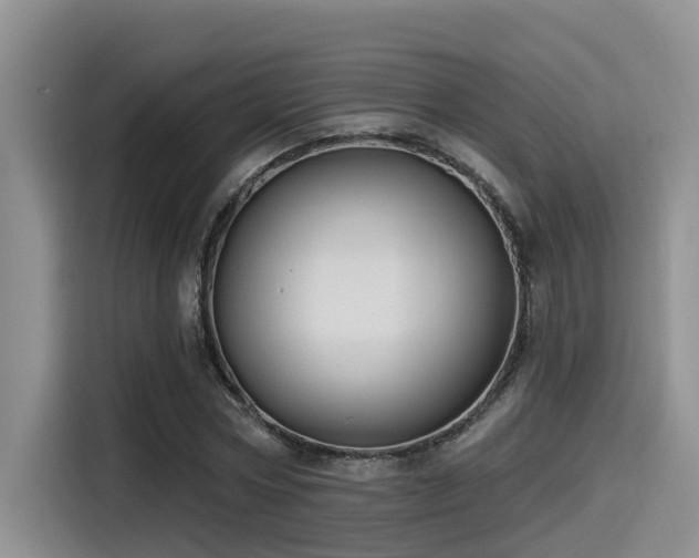 X0000115550778200911061532