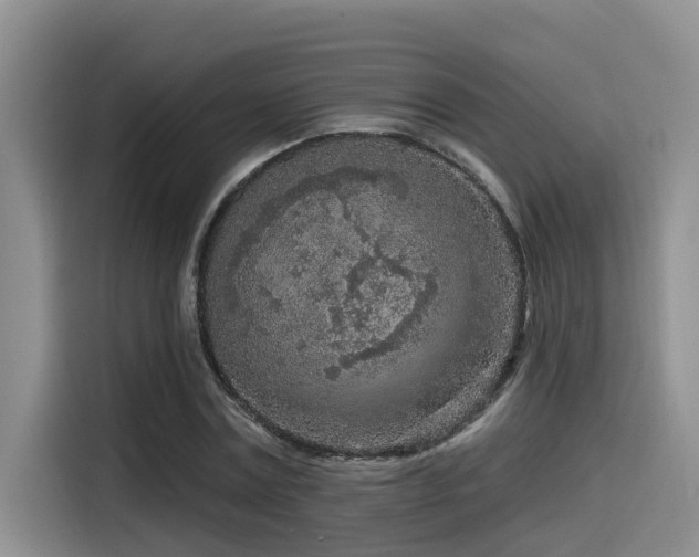 X0000115550779200911061532