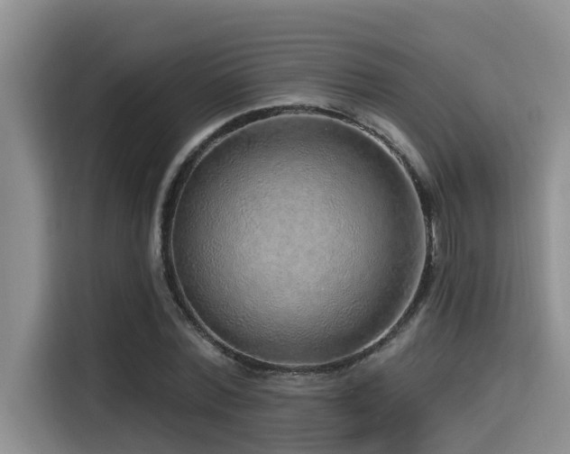 X0000115550780200911061532