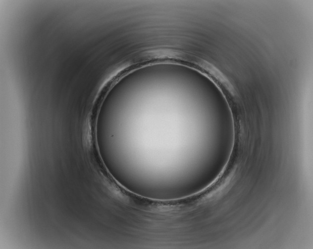 X0000115550782200911061532