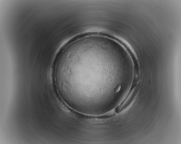 X0000115550783200911061532