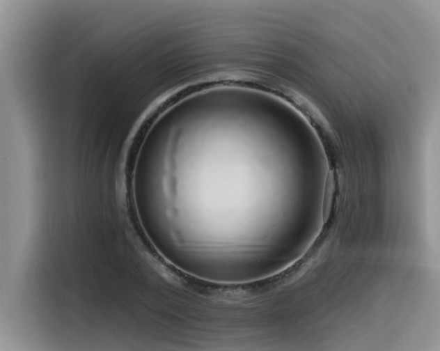 X0000115550784200911061532