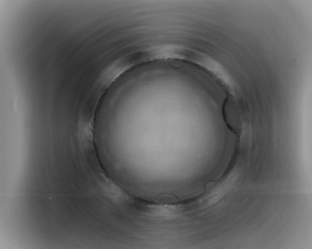 X0000115550785200911061532