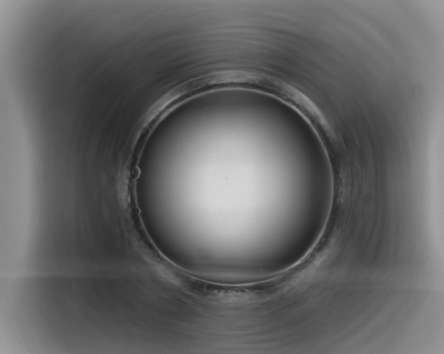 X0000115550786200911061532
