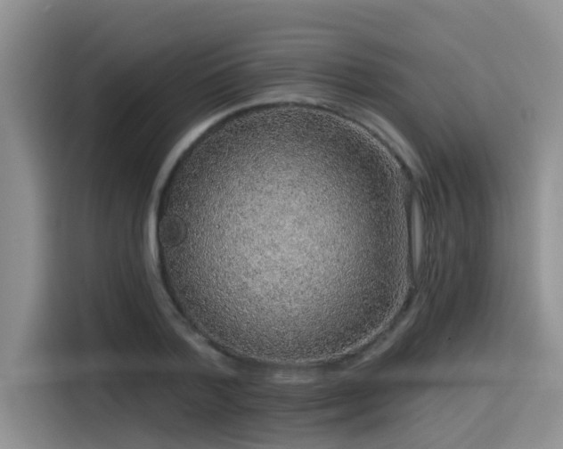 X0000115550788200911061532