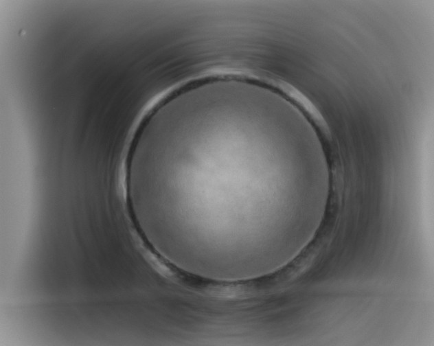 X0000115550791200911061532