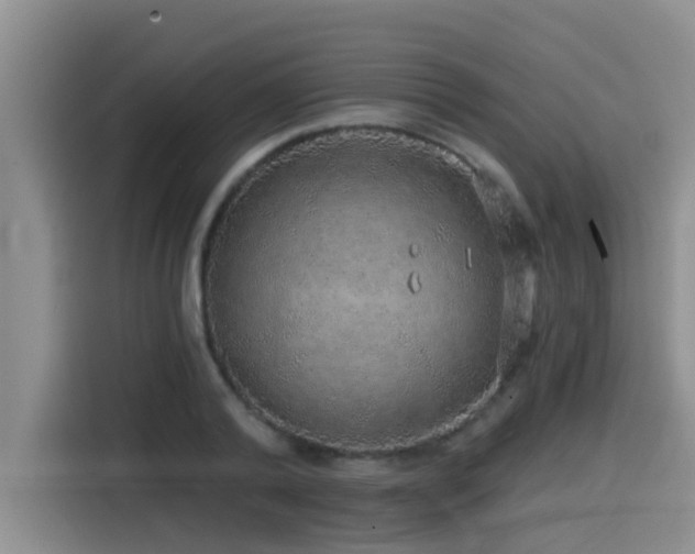X0000115550792200911061532