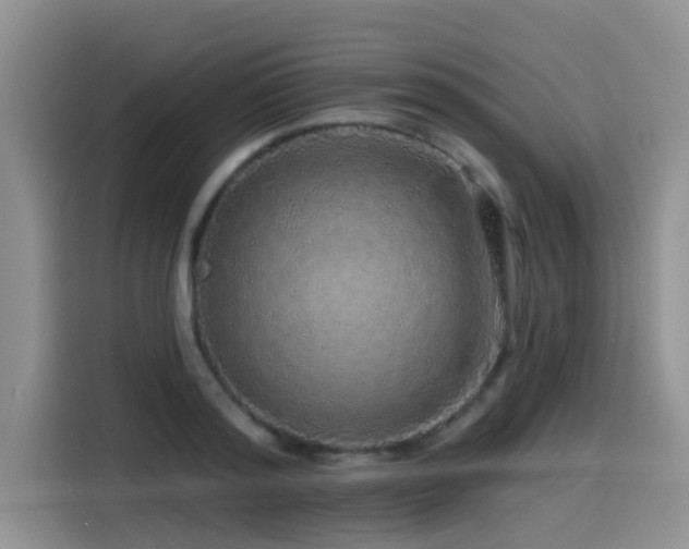 X0000115550796200911061532