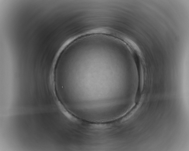 X0000115550800200911061532