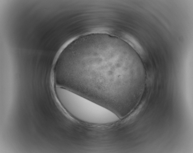 X0000115550804200911061532