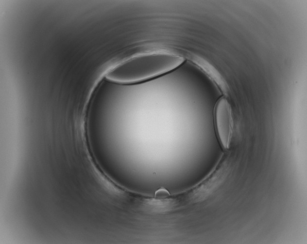 X0000115550805200911061532