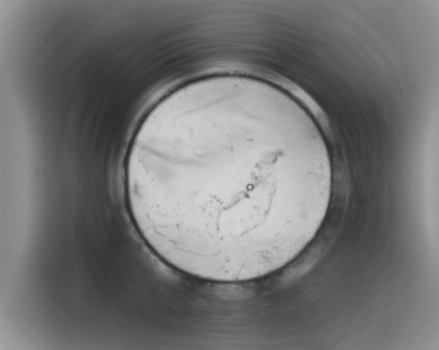X0000115550807200911061532