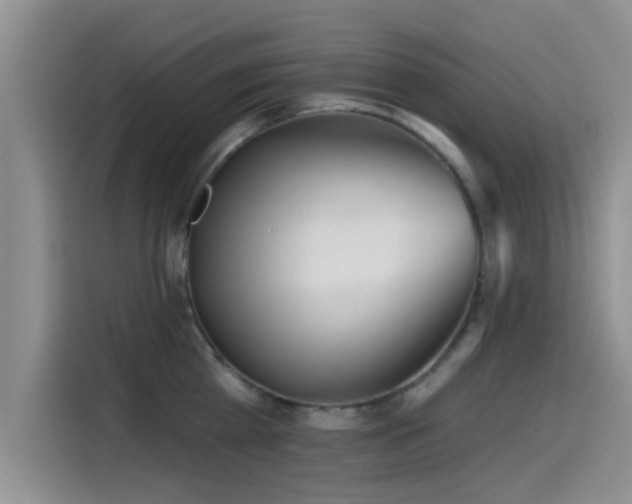 X0000115550809200911061532