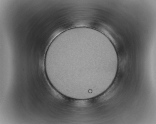 X0000115550810200911061532