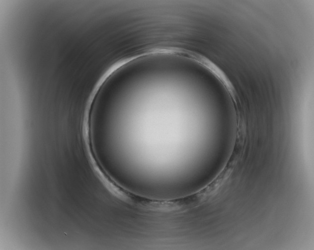 X0000115550811200911061532
