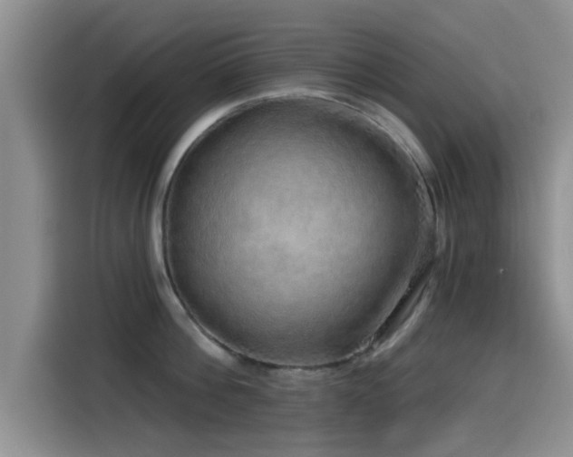 X0000115550812200911061532