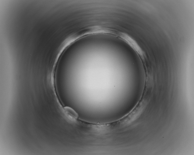 X0000115550813200911061531