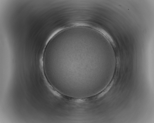 X0000115550814200911061531