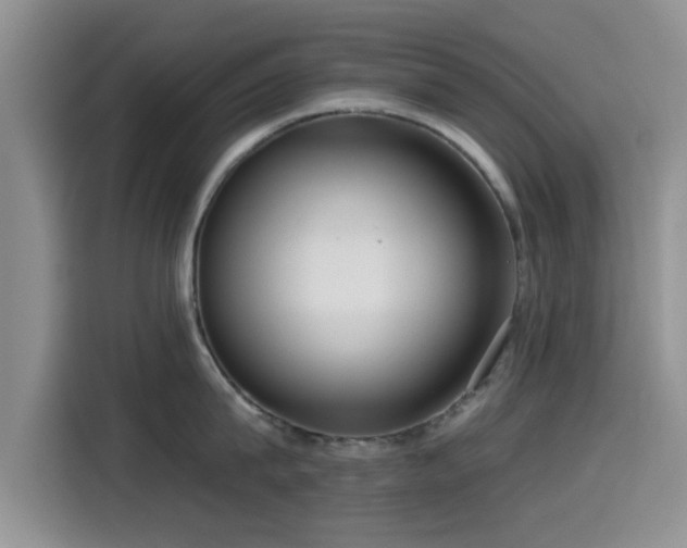 X0000115550815200911061531