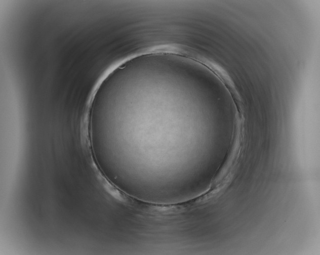 X0000115550816200911061531