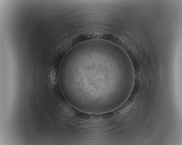 X0000115550818200911061531