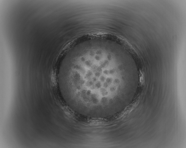 X0000115550819200911061531