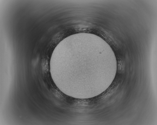 X0000115550820200911061531