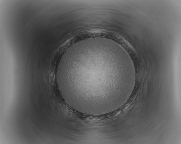 X0000115550821200911061531