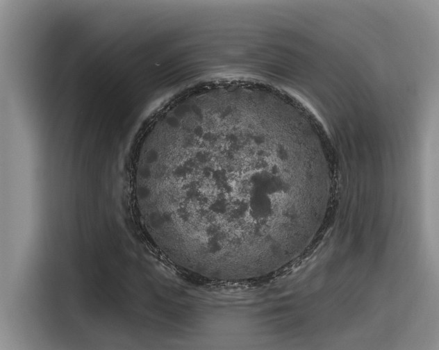 X0000115550823200911061531