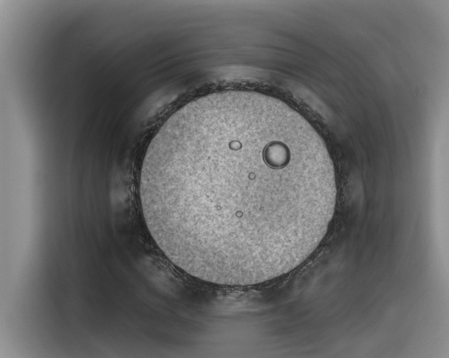 X0000115550824200911061531
