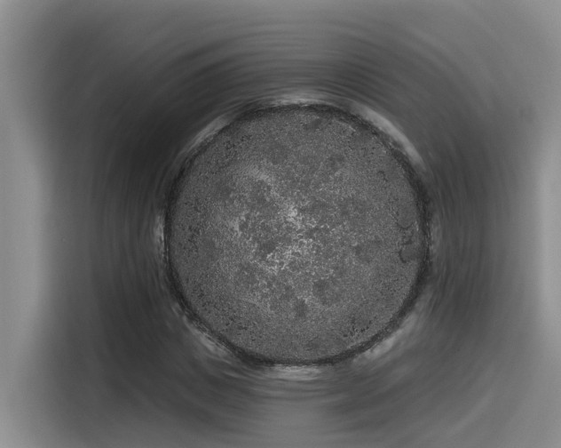 X0000115550825200911061531