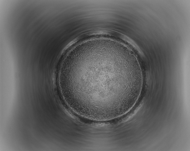 X0000115550826200911061531