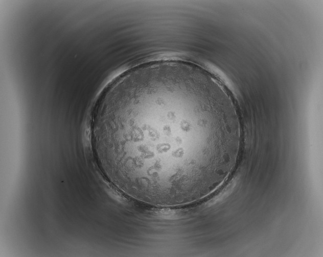X0000115550827200911061531