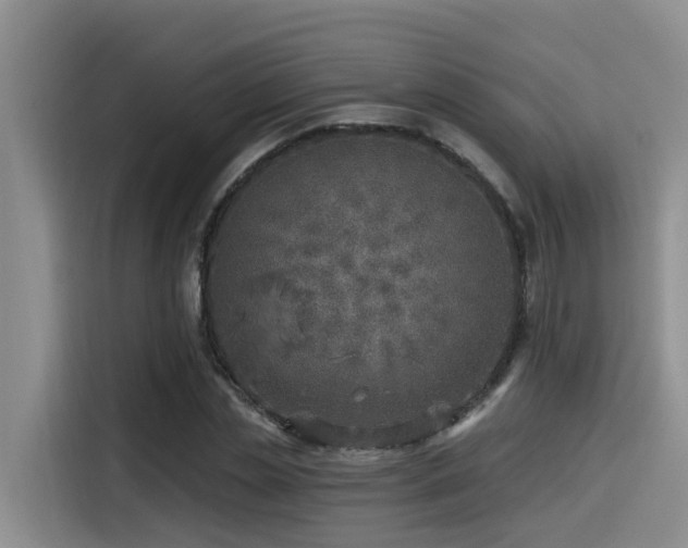 X0000115550829200911061531