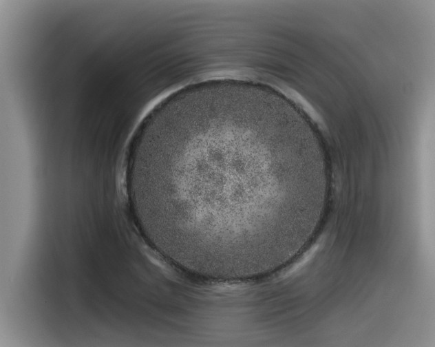 X0000115550830200911061531