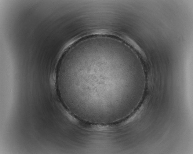 X0000115550831200911061531