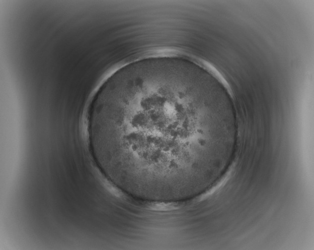 X0000115550835200911061531