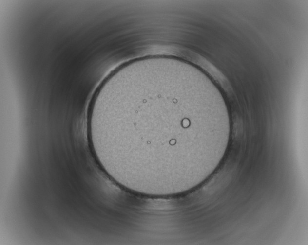 X0000115550836200911061531