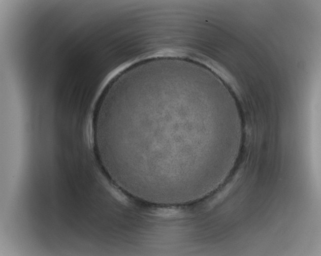 X0000115550838200911061531