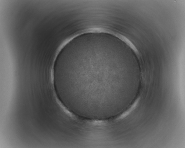 X0000115550839200911061531