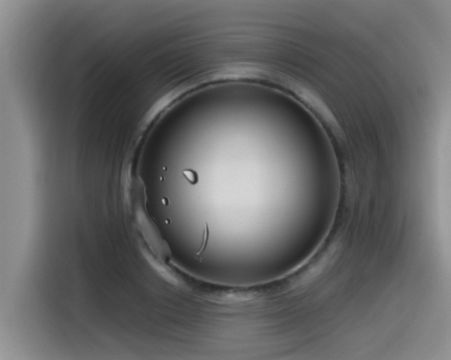 X0000115550842200911061531