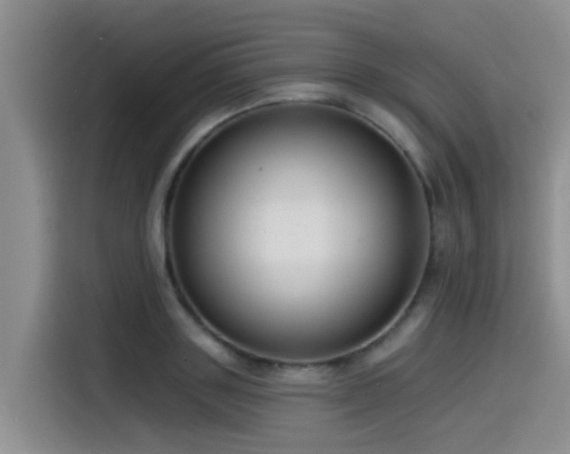 X0000115550843200911061531
