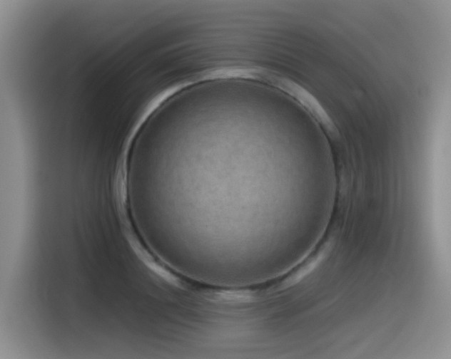 X0000115550844200911061531