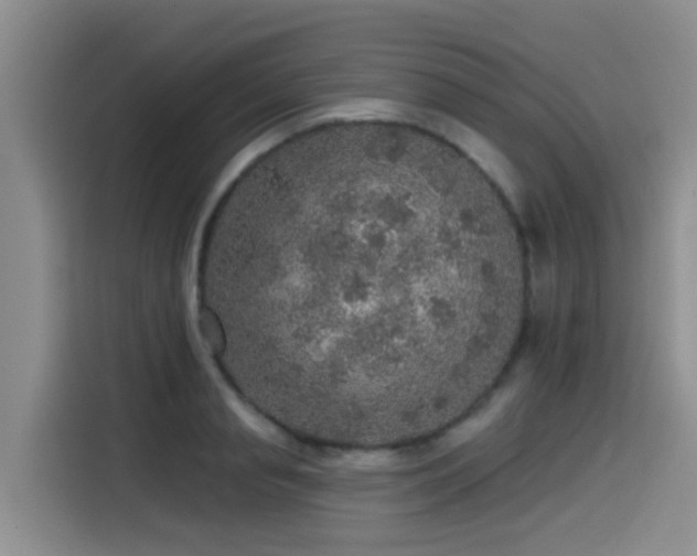 X0000115550845200911061531