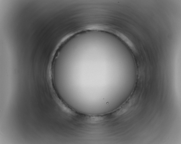 X0000115550848200911061531