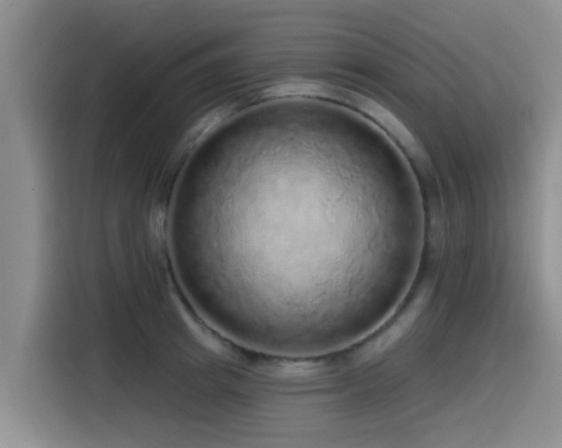 X0000115550849200911061531
